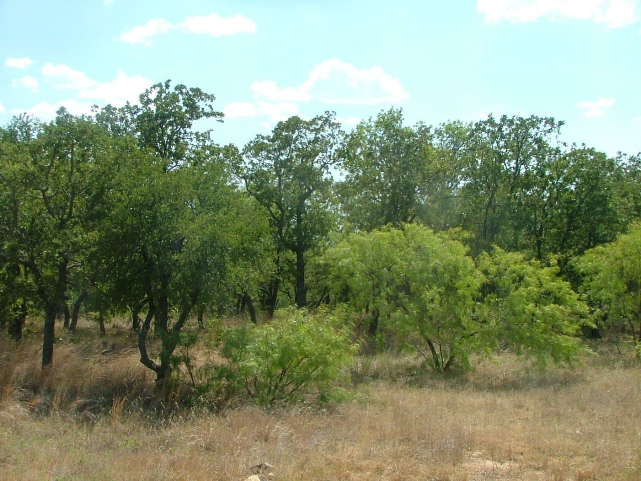1.01 acres in Wise County - photo 11