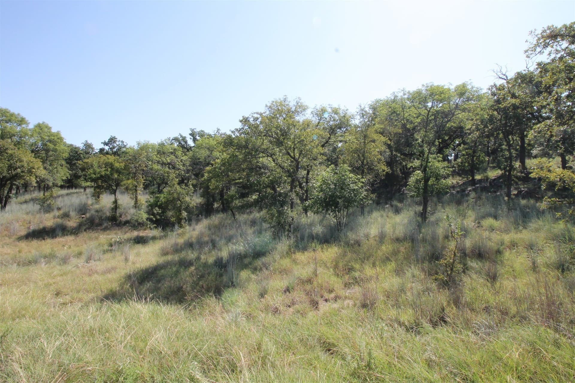 1.01 acres in Wise County - photo 3