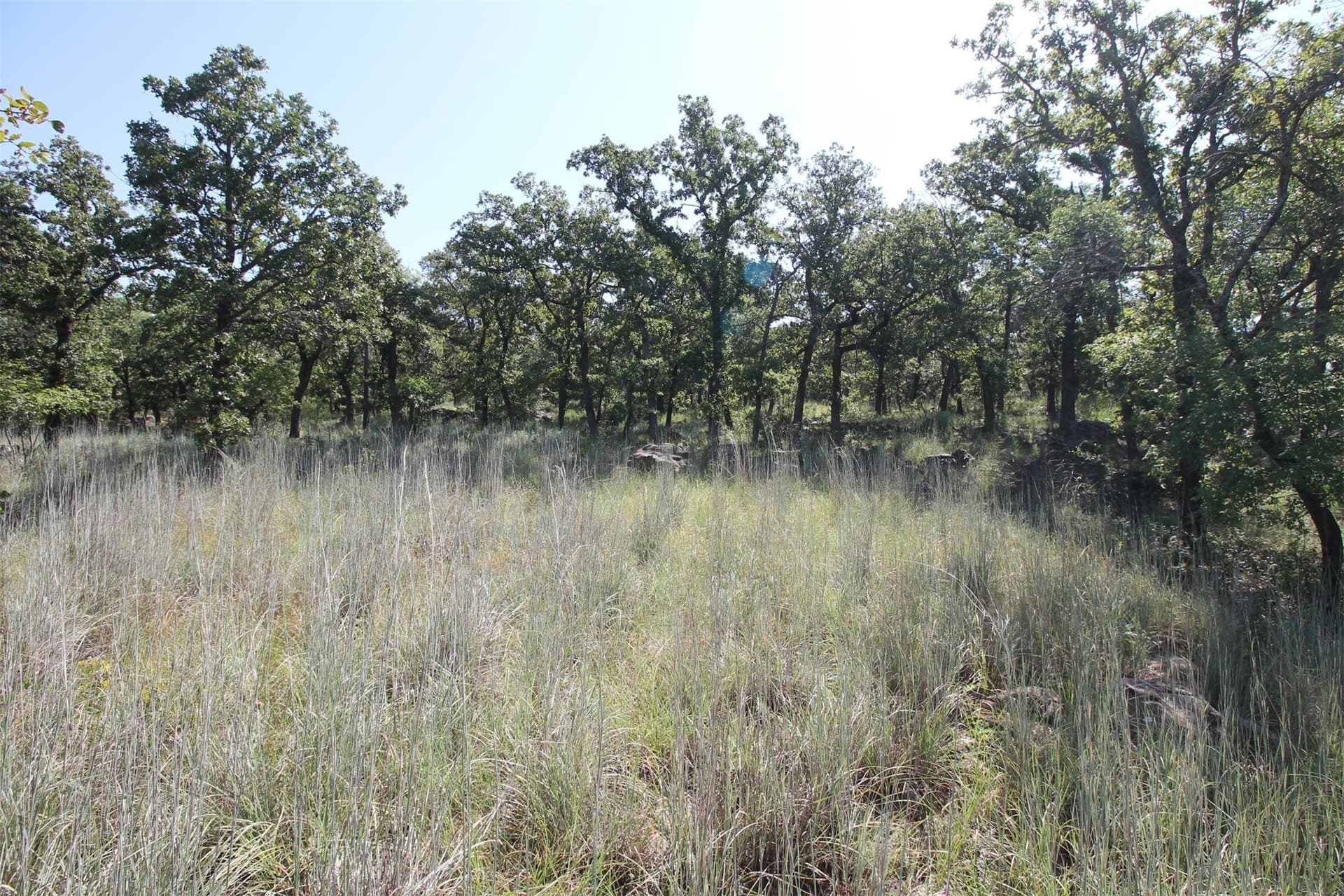 1.01 acres in Wise County - photo 2