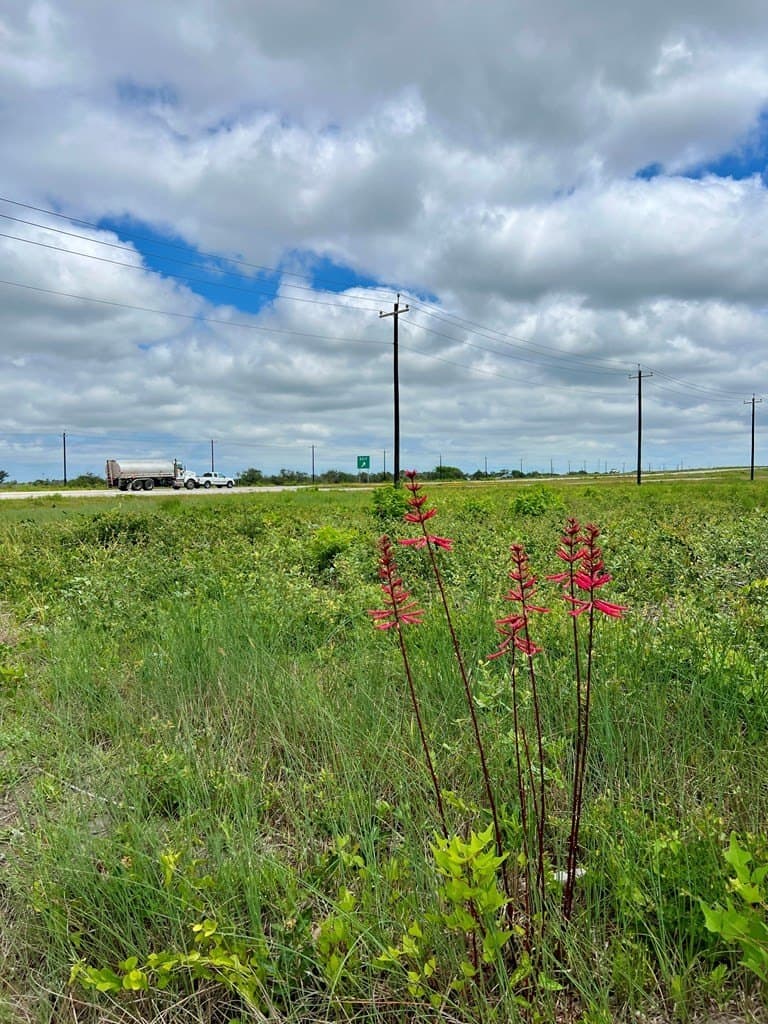3.3 acres in Texas County gallery image 2