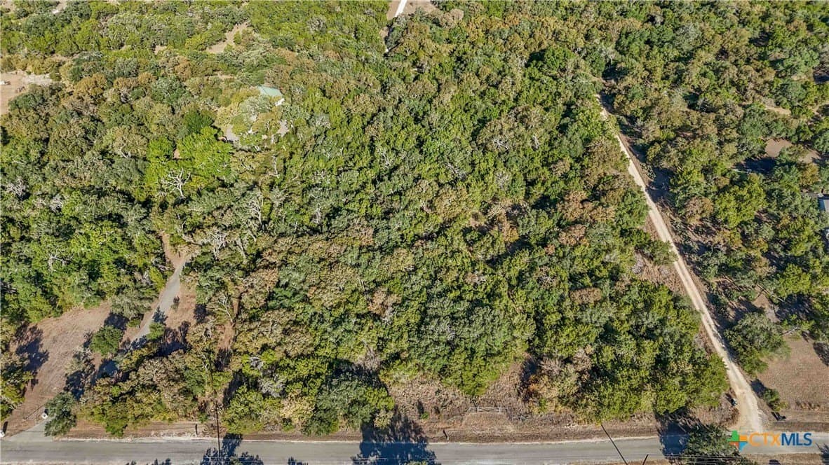 6.07 acres in Hays County gallery image 4