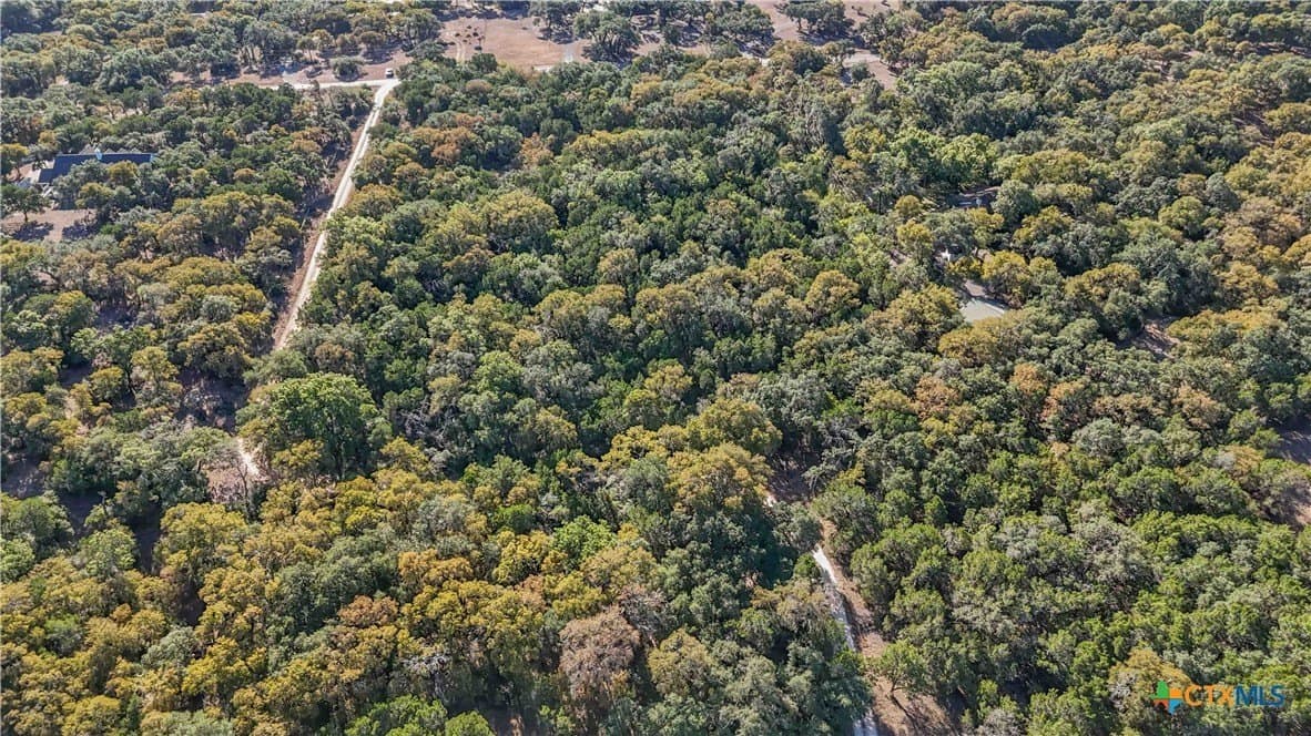 6.07 acres in Hays County - photo 9