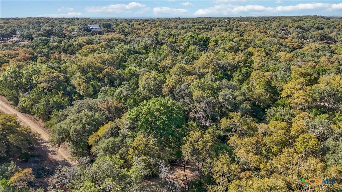 6.07 acres in Hays County - photo 8