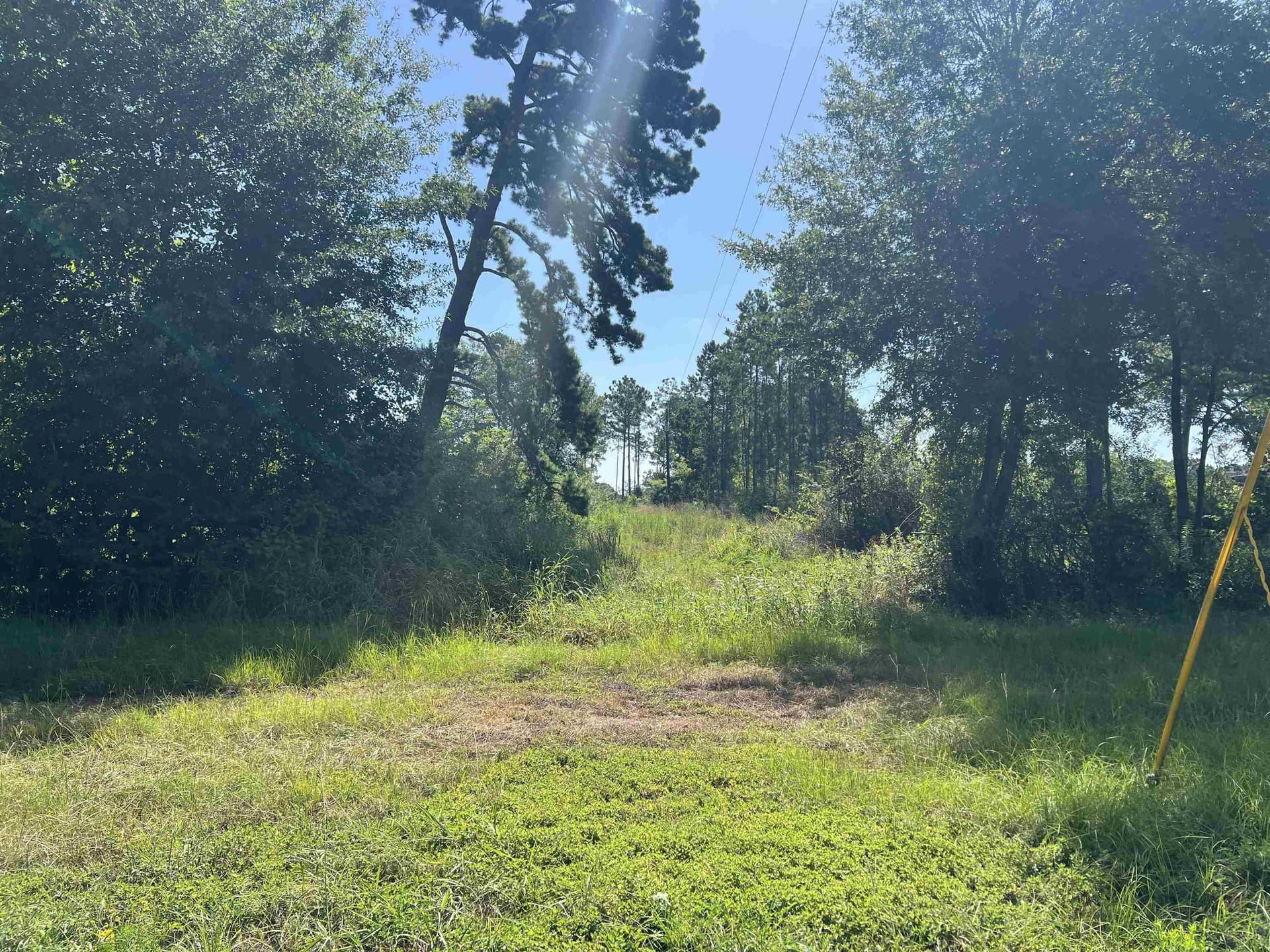 12.63 acres in Smith County gallery image 4