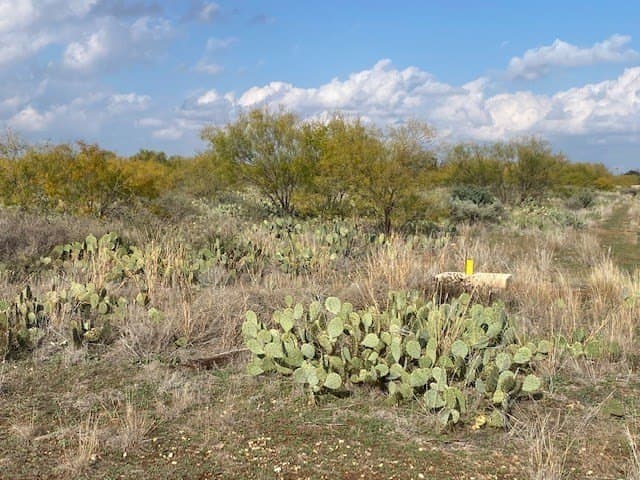 10 acres in Tom Green County gallery image 2