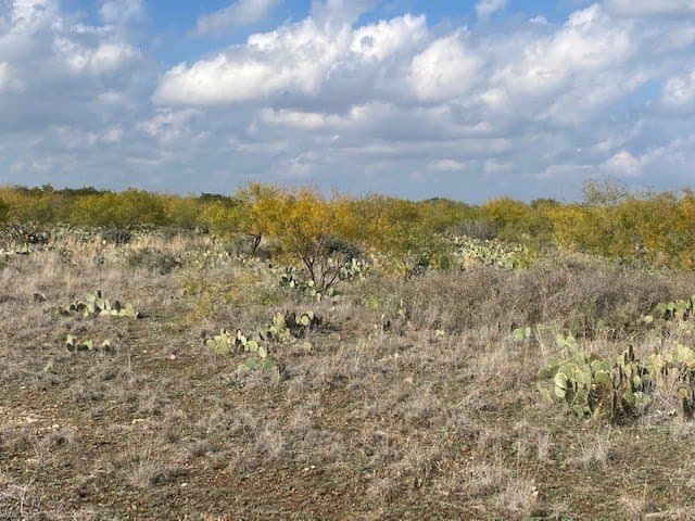 10 acres in Tom Green County gallery image 3