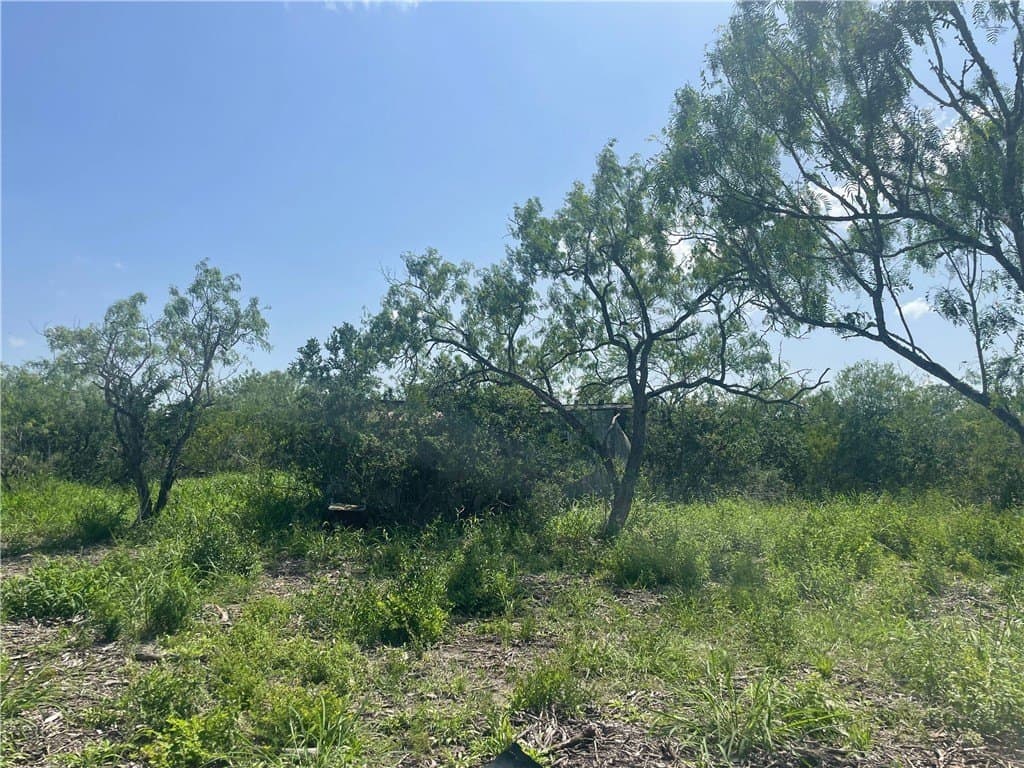 2 acres in Bee County featured view