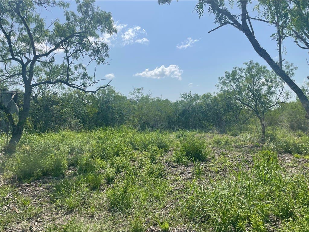 2 acres in Bee County - photo 6