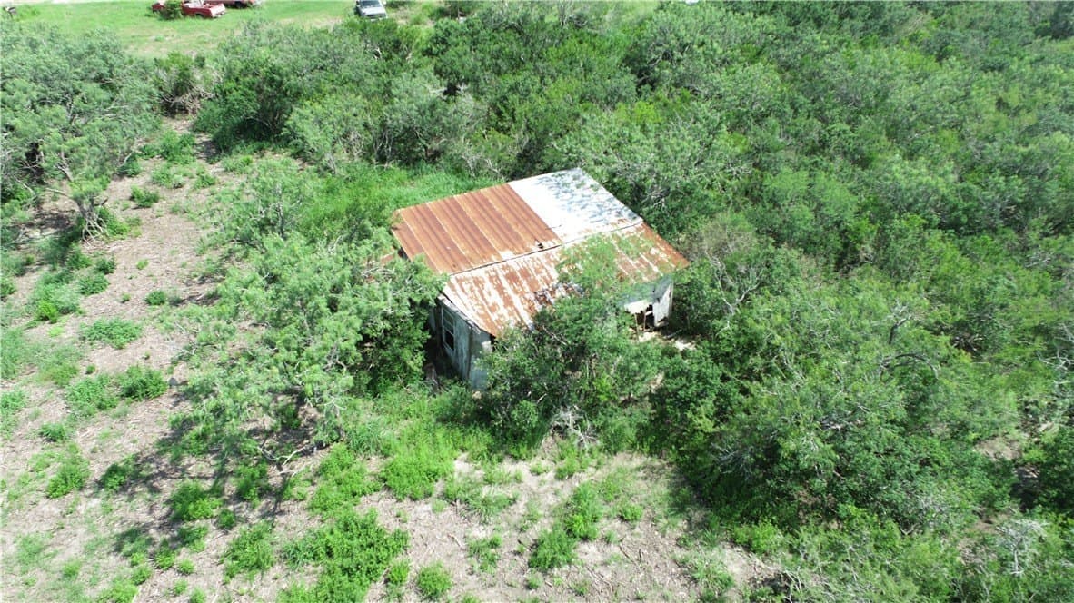 2 acres in Bee County gallery image 3