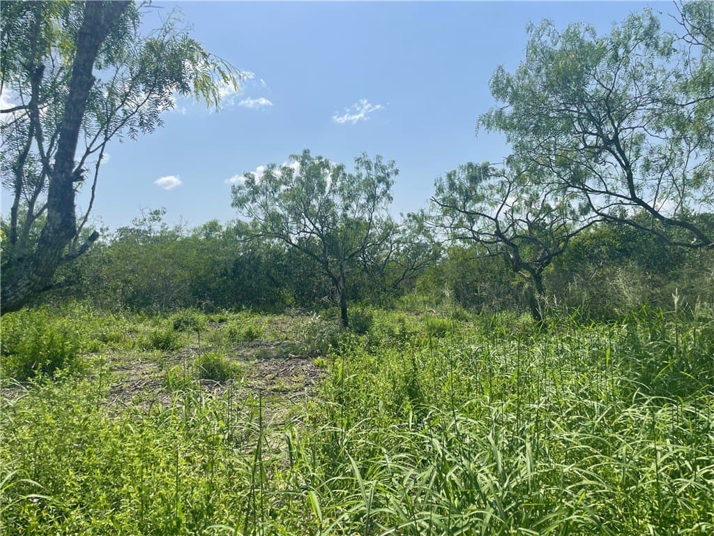 2 acres in Bee County - photo 7