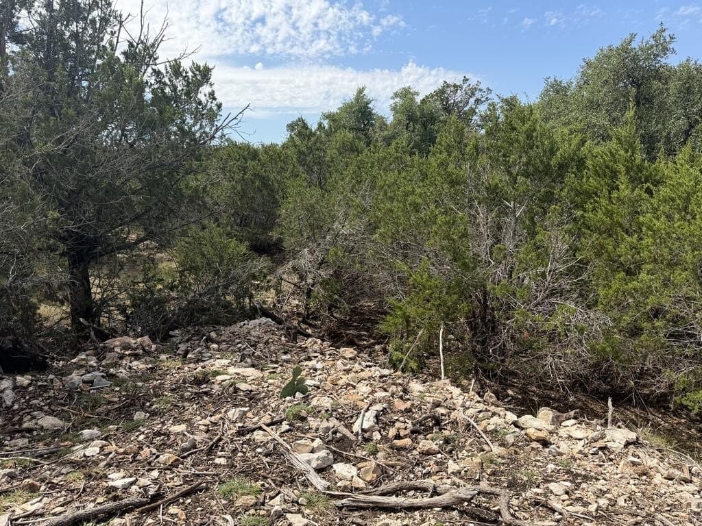12 acres in Kerr County - photo 16