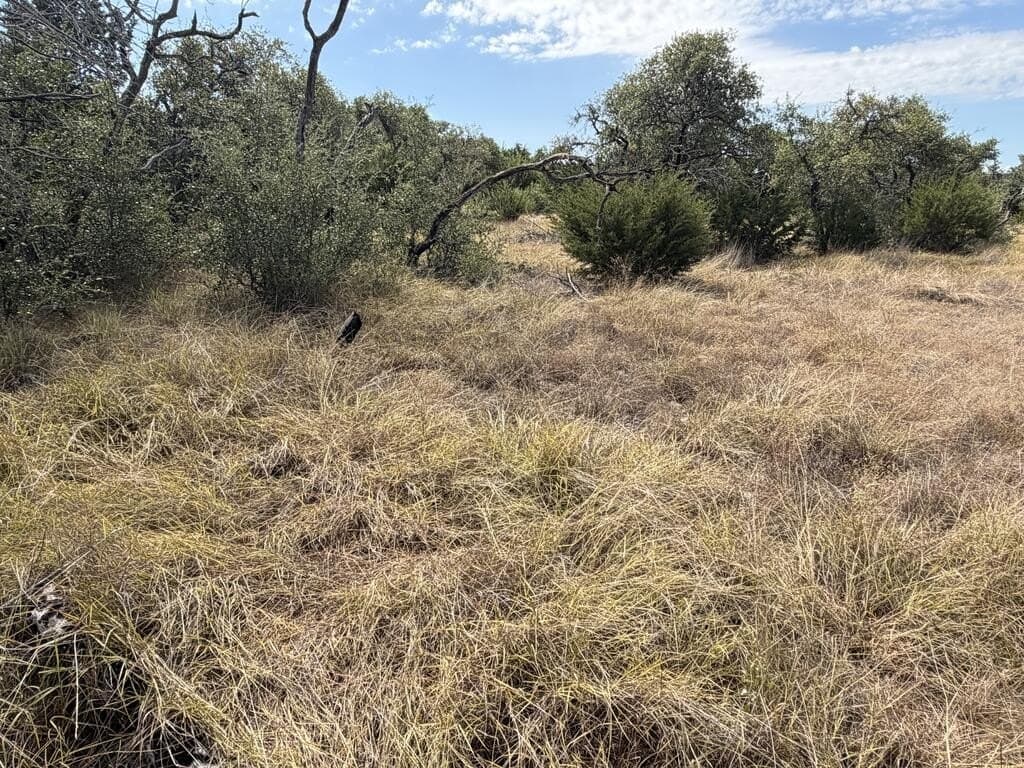 12 acres in Kerr County - photo 14