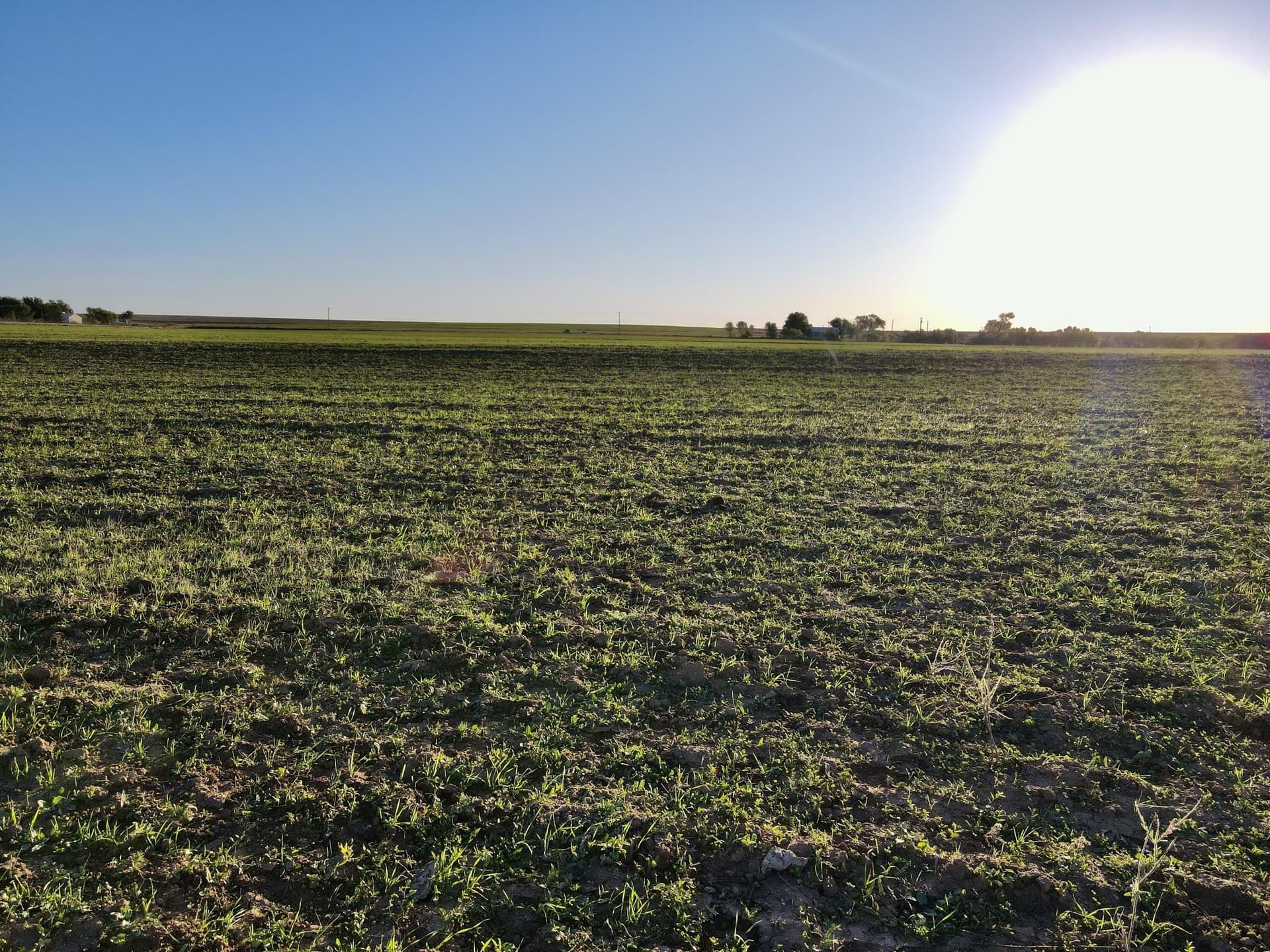20 acres in Hall County featured view