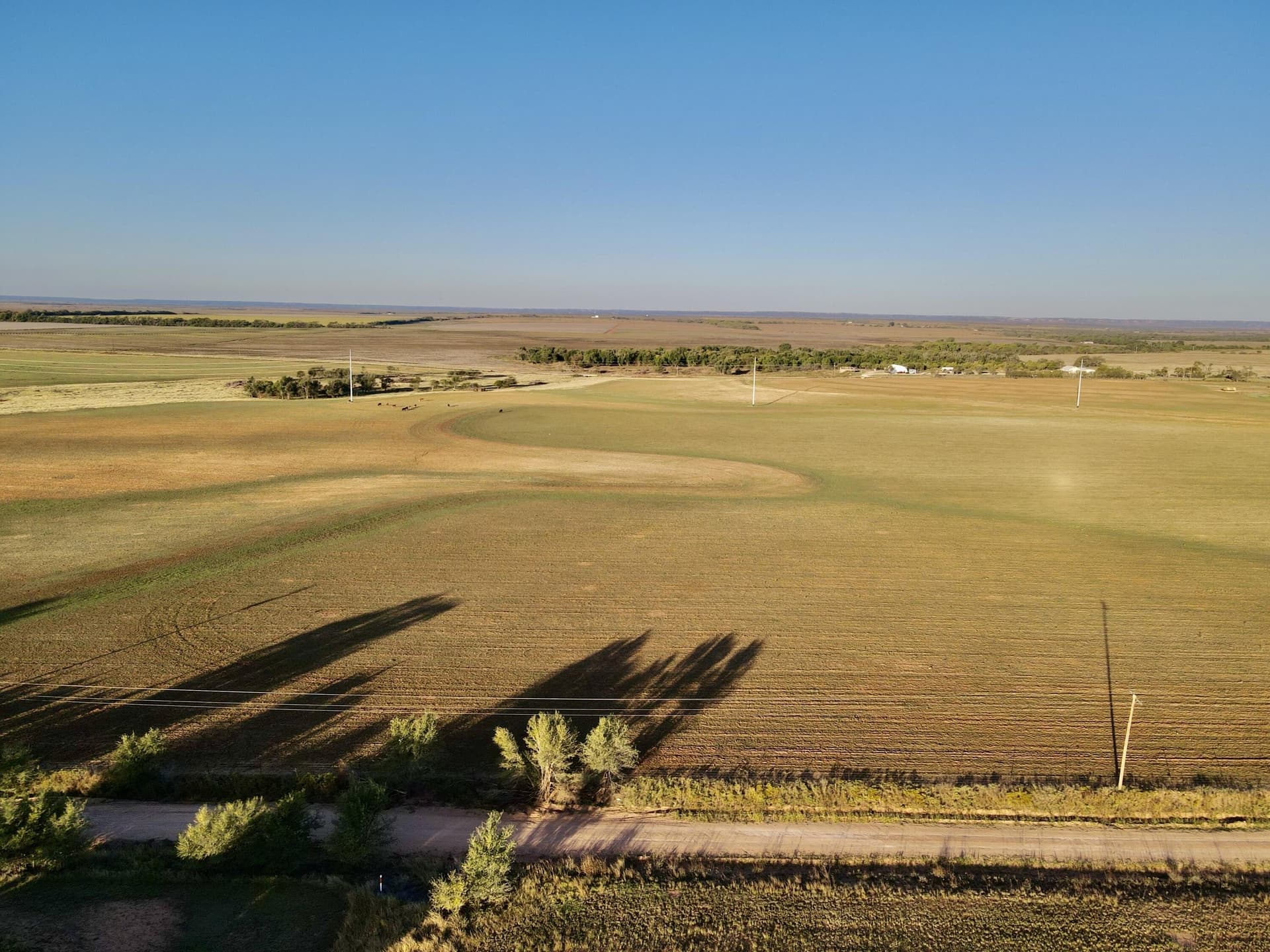 20 acres in Hall County gallery image 3