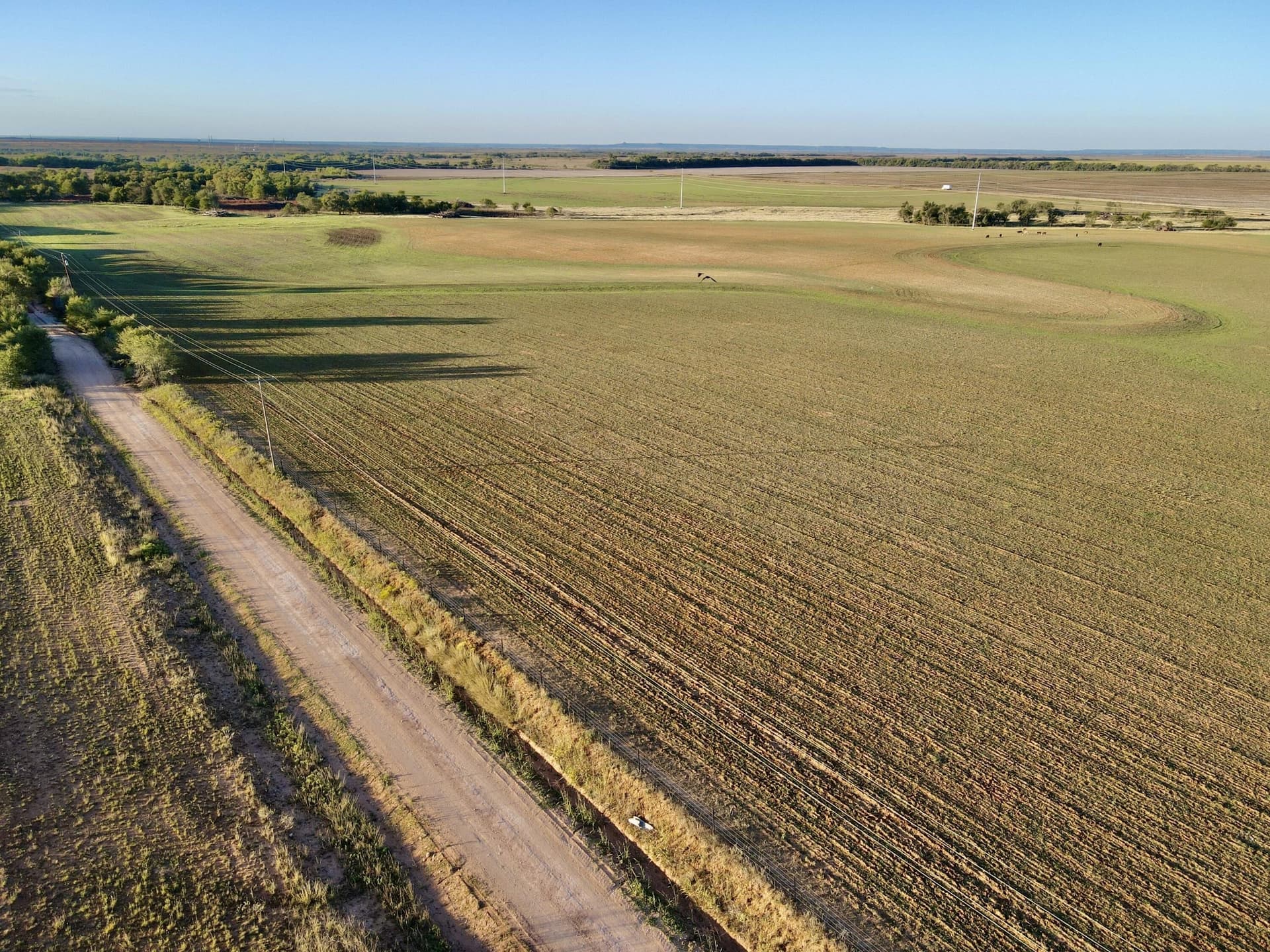 20 acres in Hall County