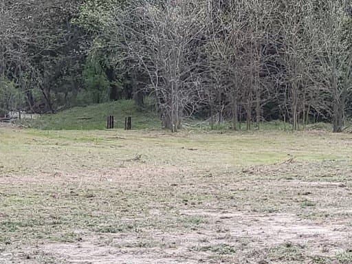 2 acres in Grayson County - photo 10