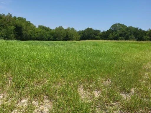 2 acres in Grayson County gallery image 2
