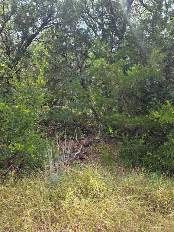 0.04 acres in Hood County gallery image 3