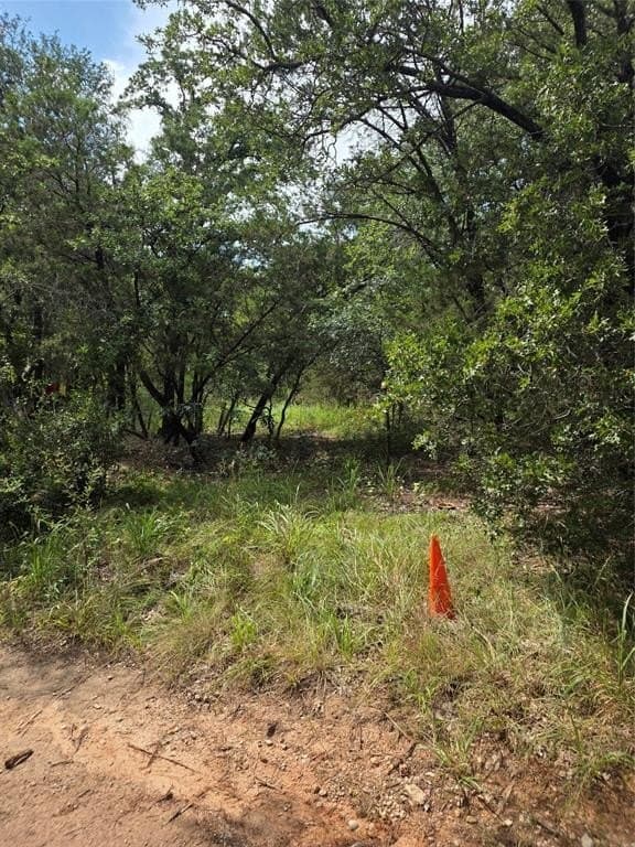 0.04 acres in Hood County gallery image 4