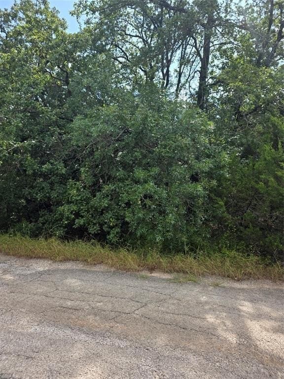 0.04 acres in Hood County gallery image 2