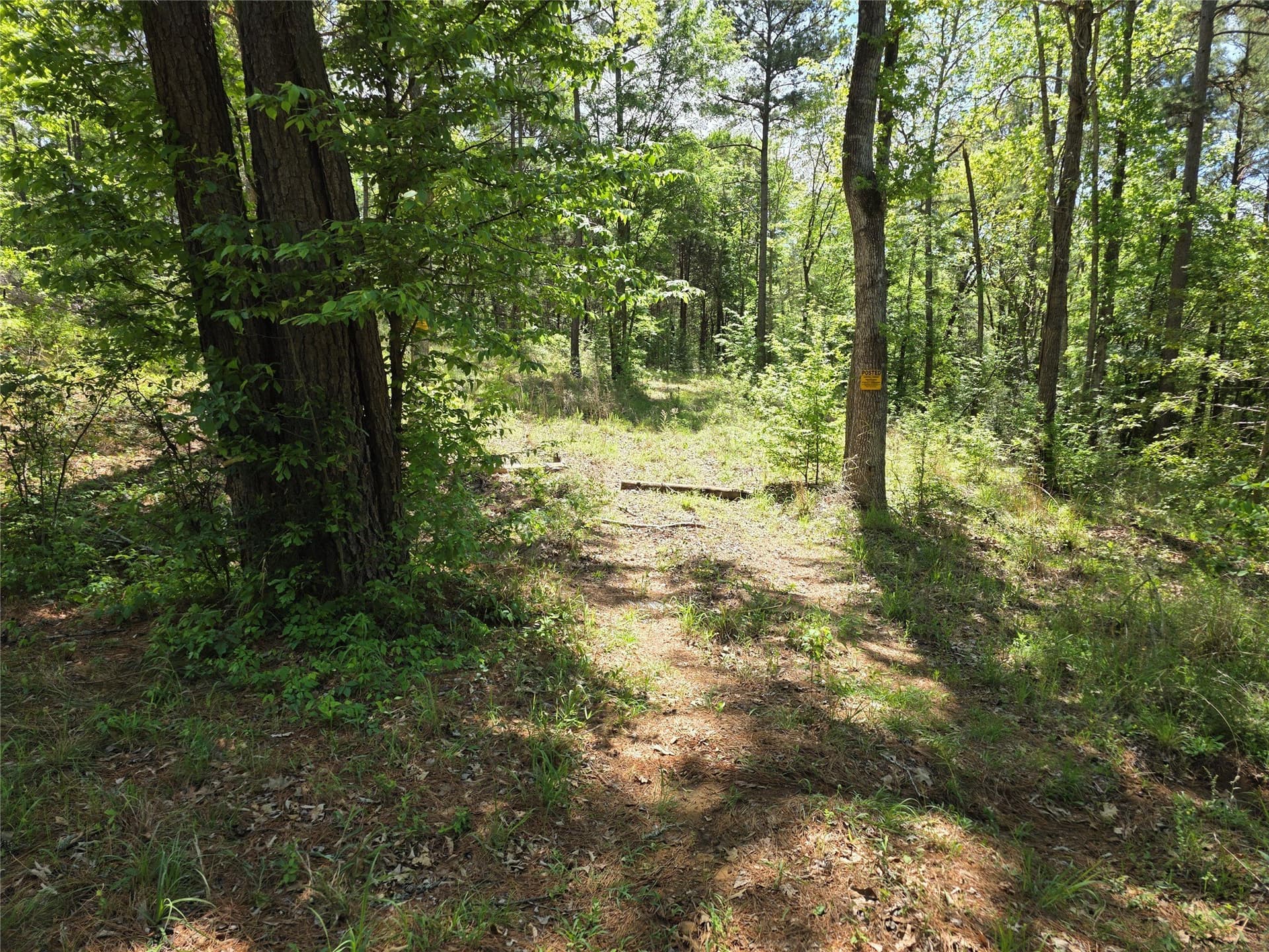 1.92 acres in Anderson County - photo 2