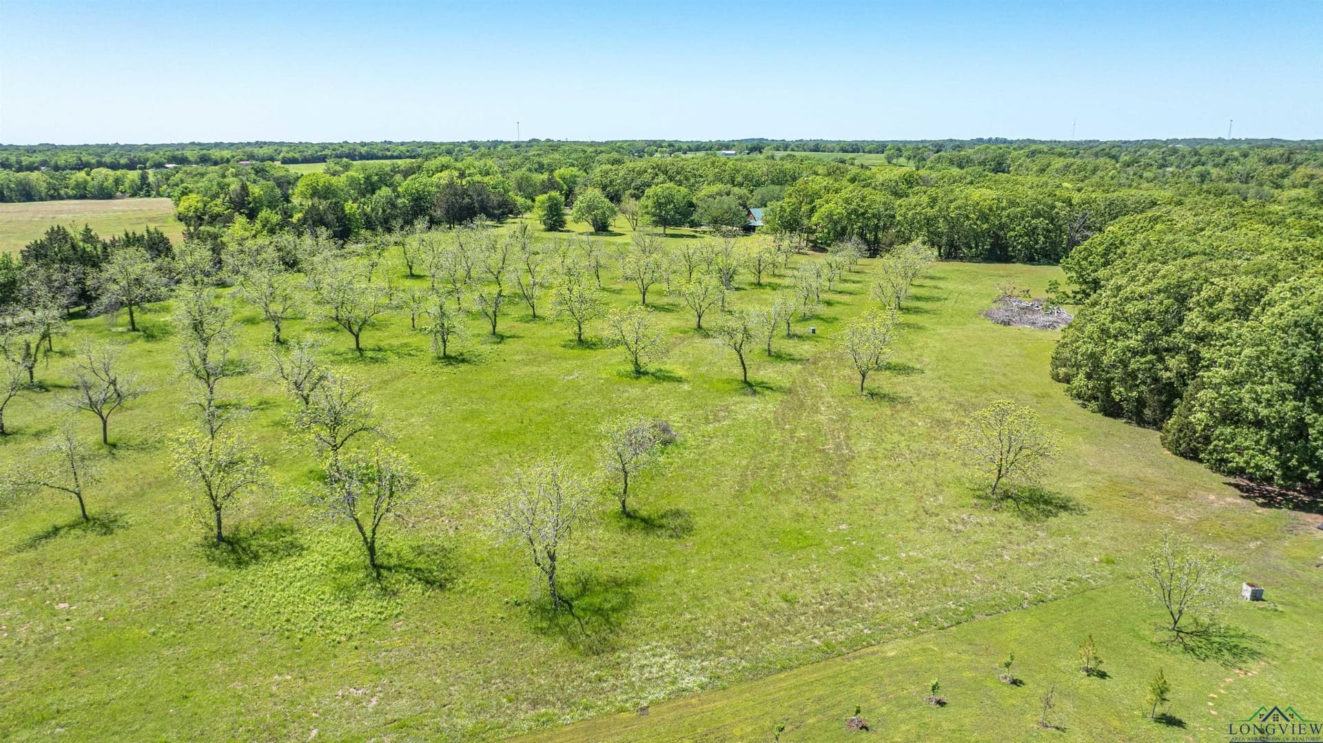 10 acres in Wood County featured view