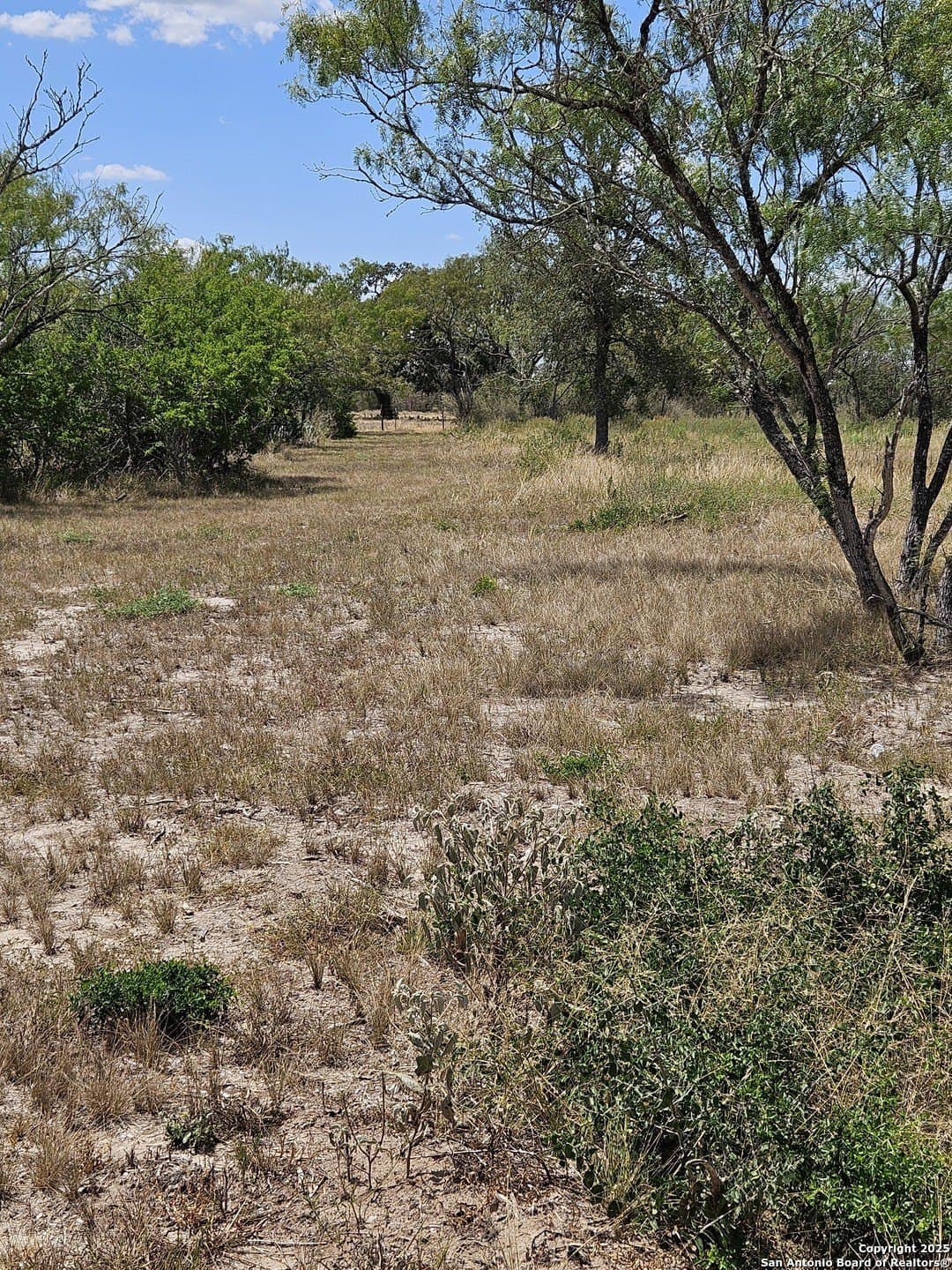 3 acres in Guadalupe County - photo 11