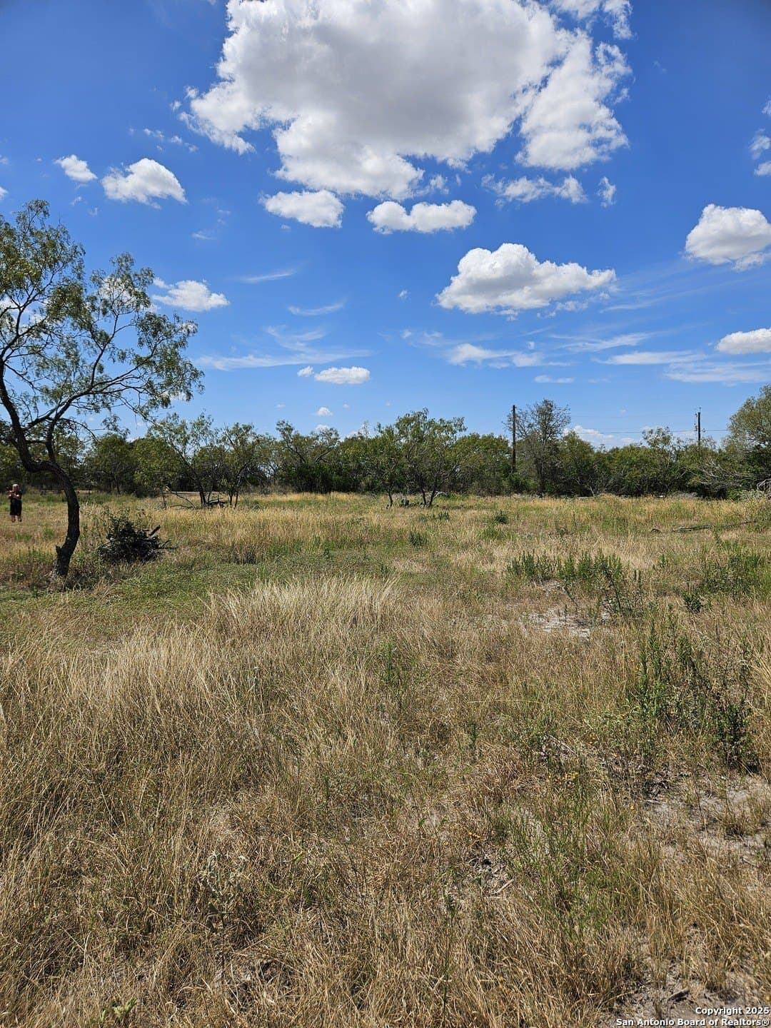 3 acres in Guadalupe County - photo 12