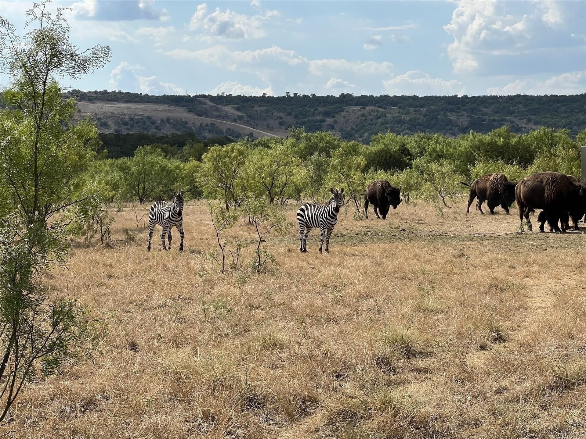 5.17 acres in Palo Pinto County - photo 31