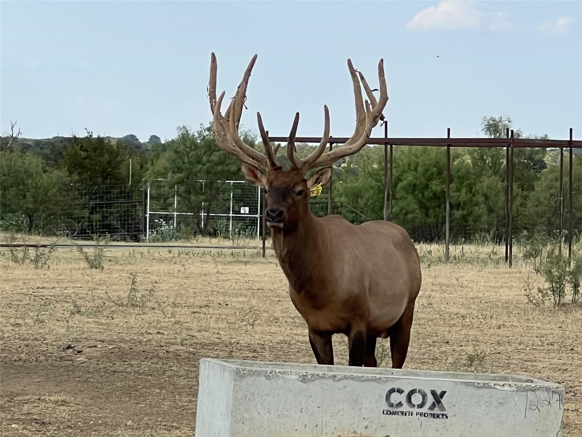 5.17 acres in Palo Pinto County - photo 32