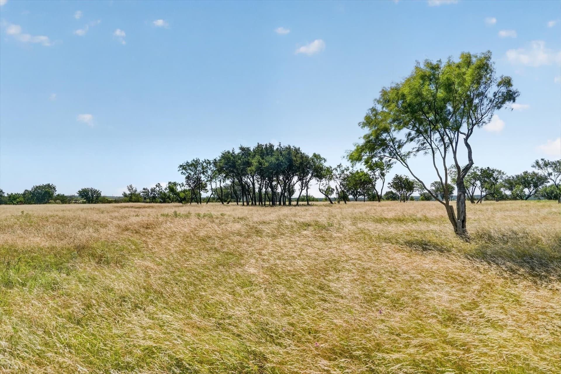 5.17 acres in Palo Pinto County - photo 7