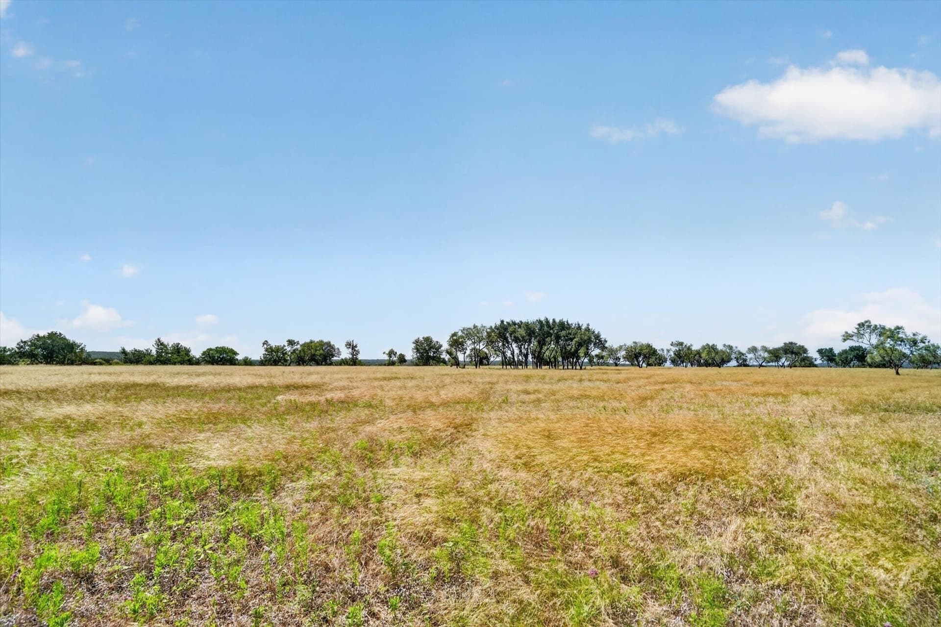 5.17 acres in Palo Pinto County - photo 6
