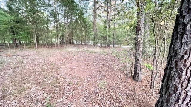 0.11 acres in Franklin (TX) County gallery image 2