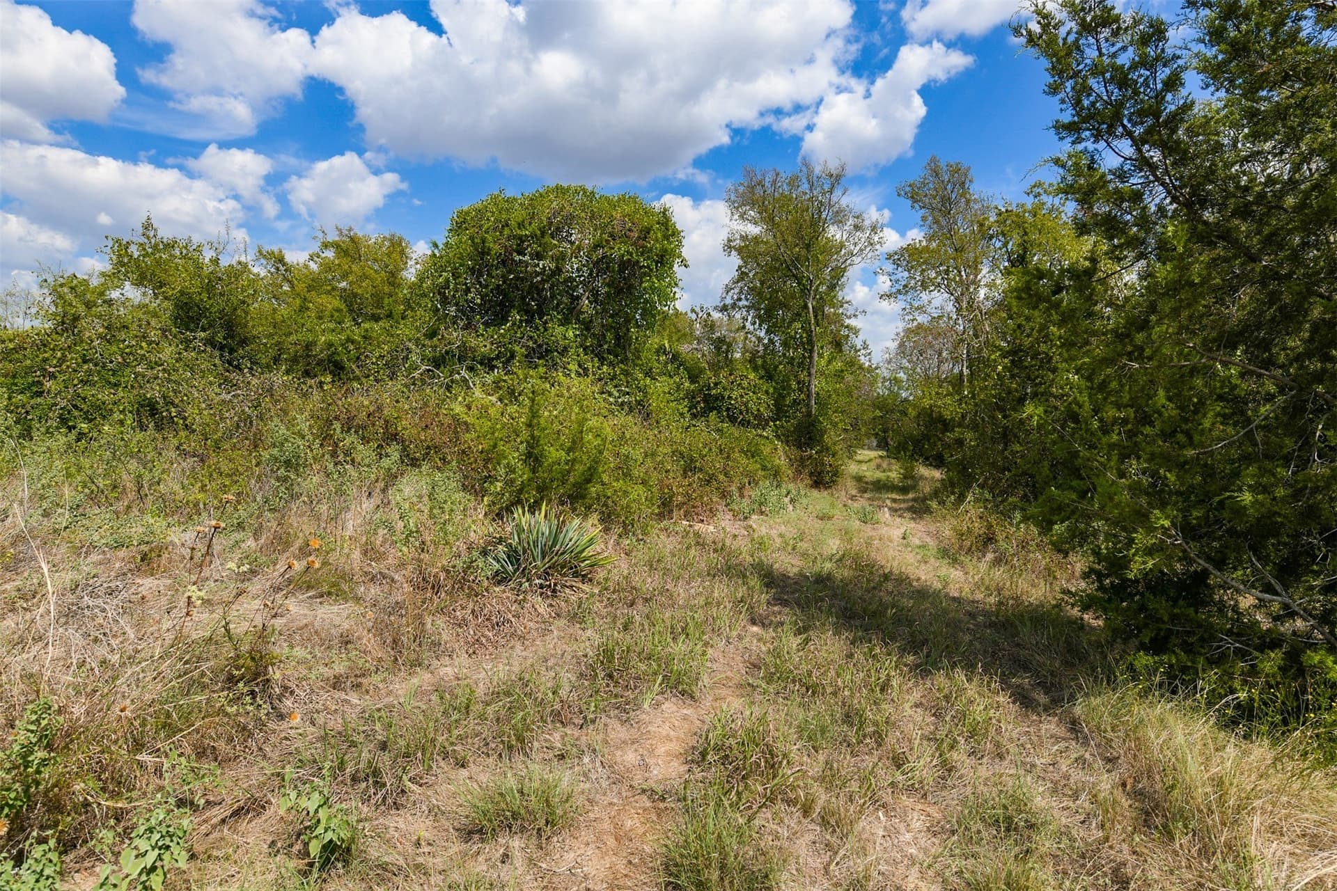 5.02 acres in Johnson County - photo 11