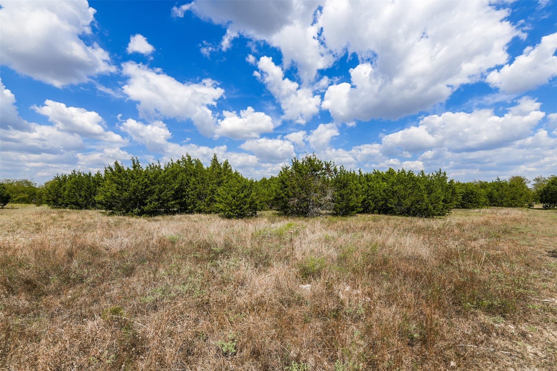 5.02 acres in Johnson County - photo 9