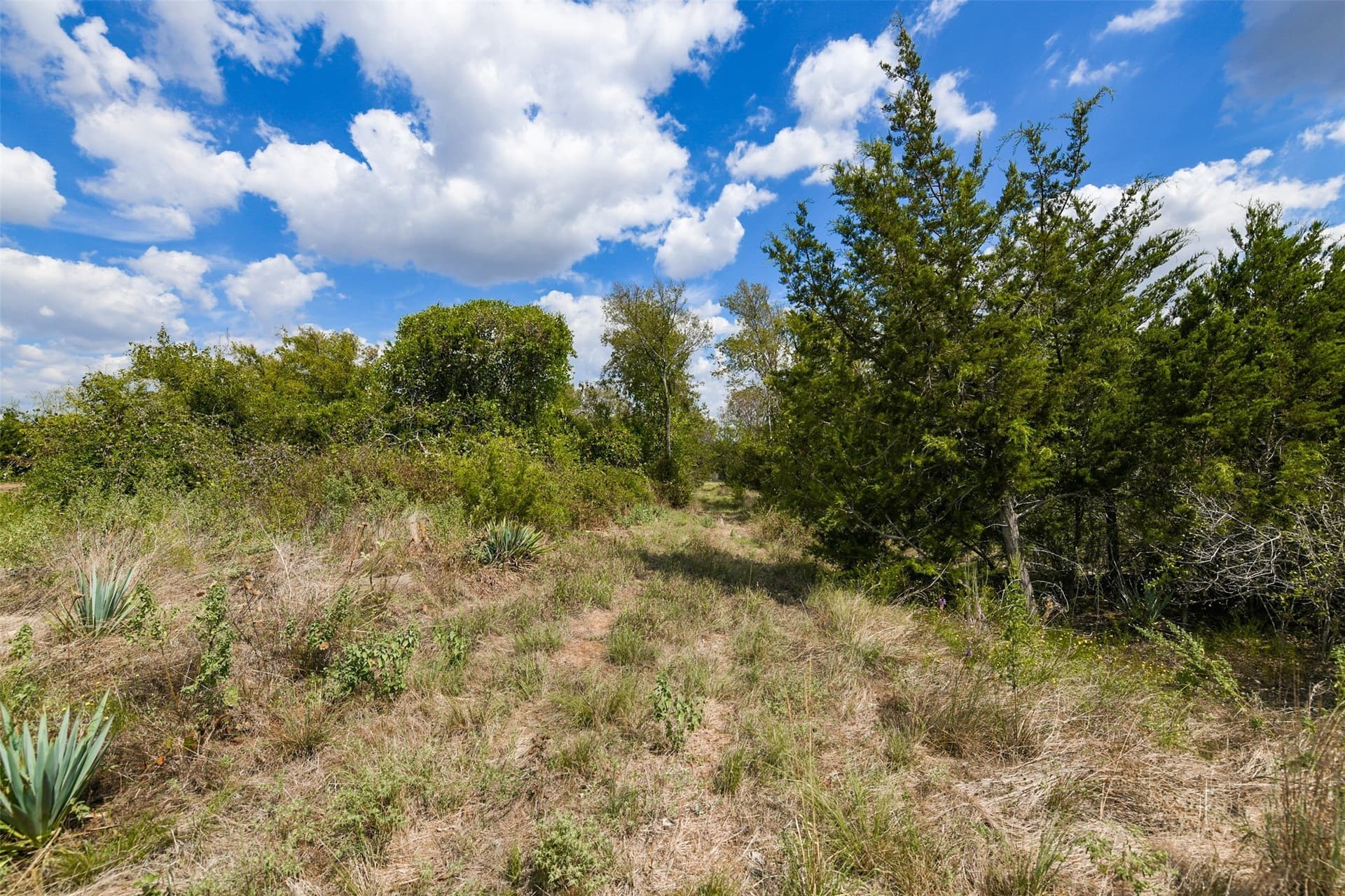 5.02 acres in Johnson County - photo 10