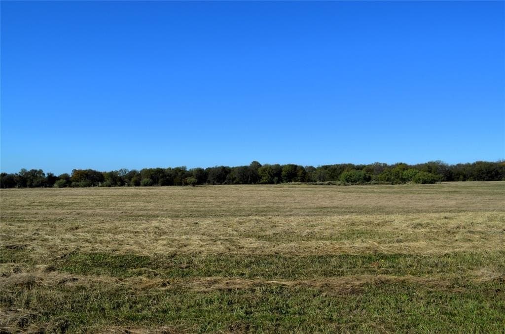 15 acres in Van Zandt County gallery image 4