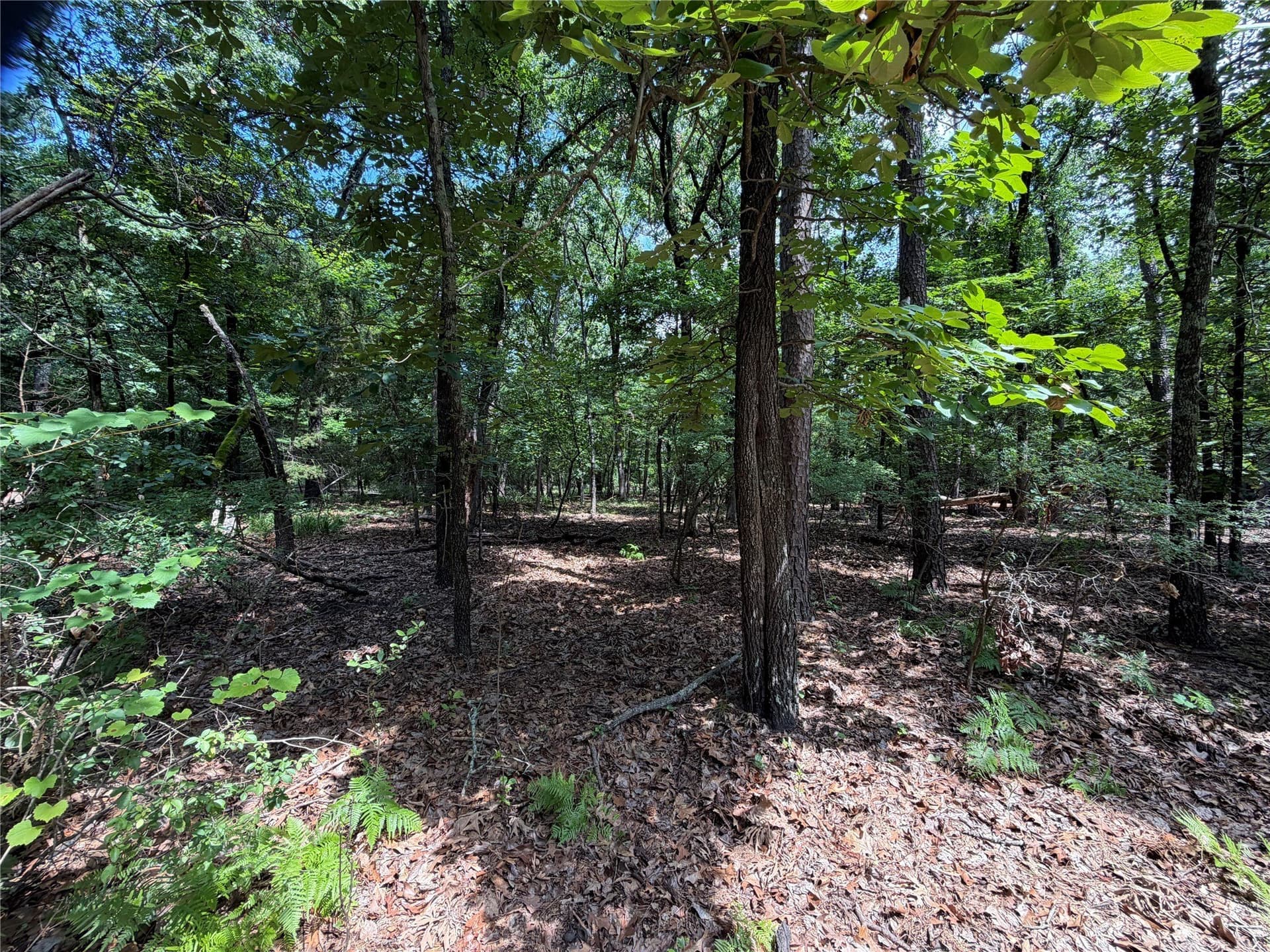 0.43 acres in Franklin (TX) County gallery image 2