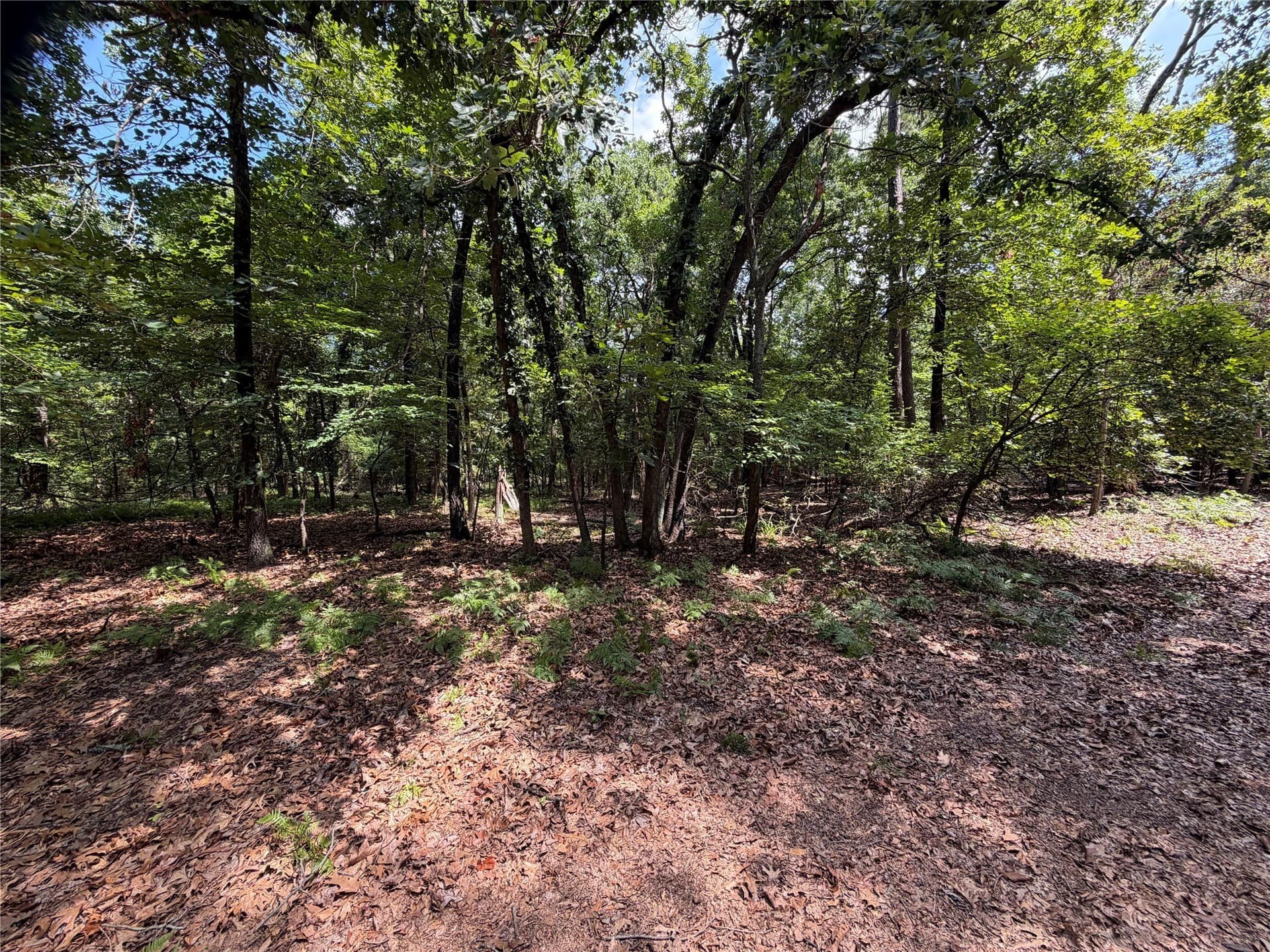 0.43 acres in Franklin (TX) County