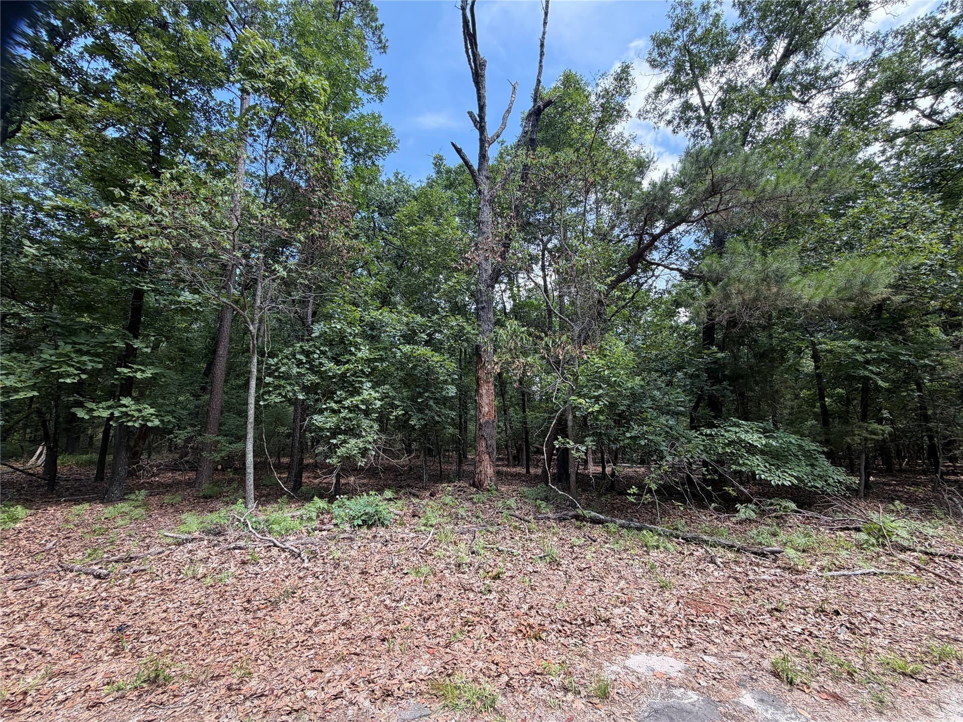 0.43 acres in Franklin (TX) County gallery image 4