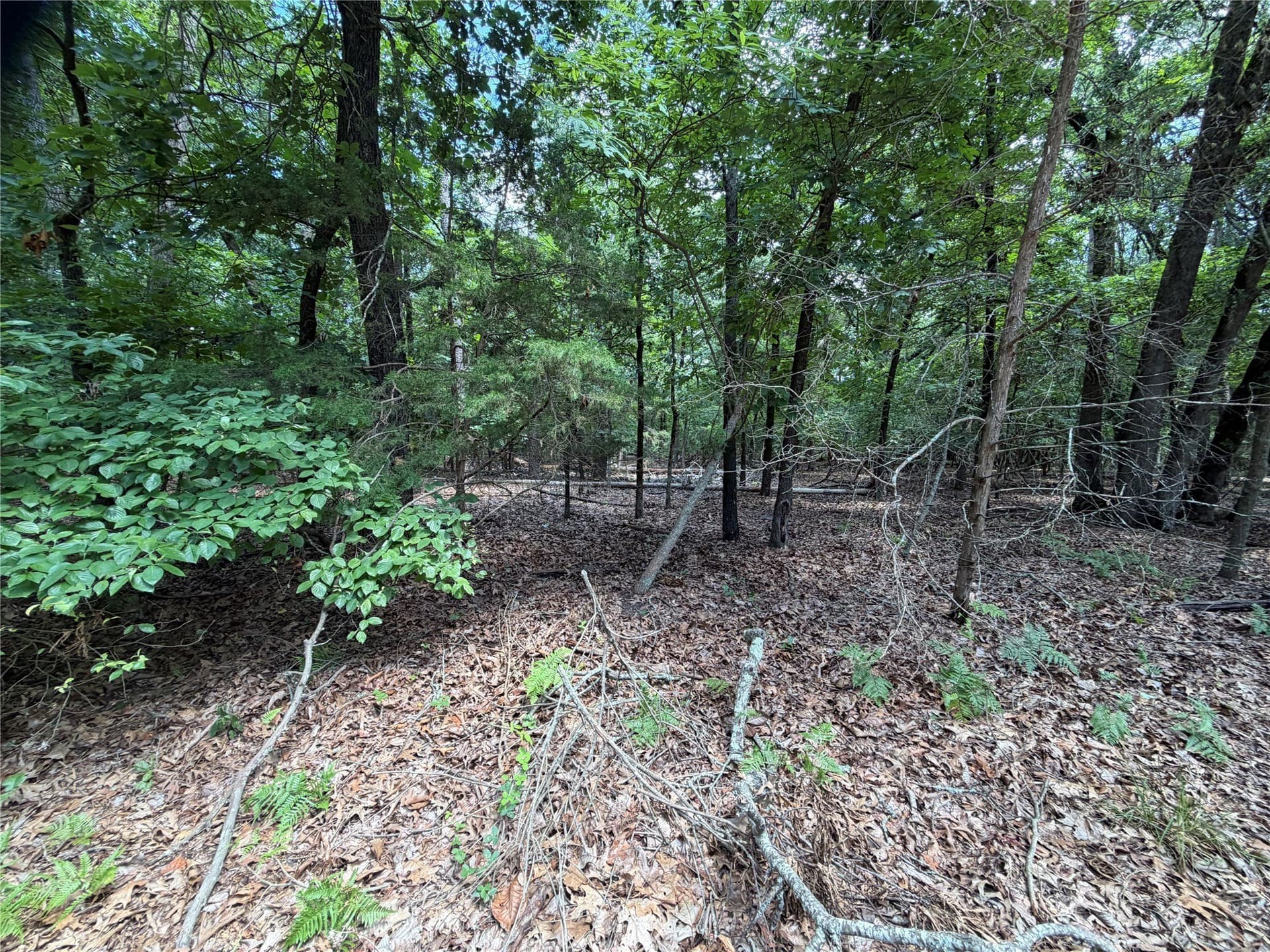 0.43 acres in Franklin (TX) County featured view