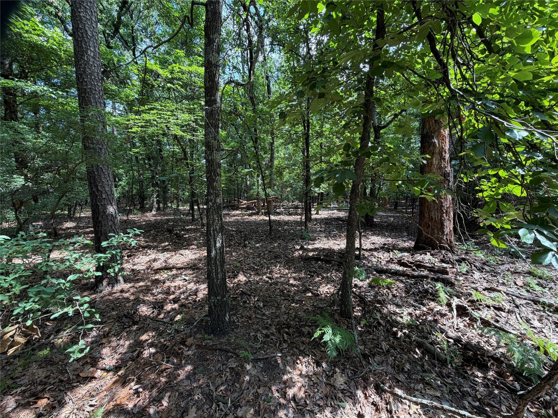 0.43 acres in Franklin (TX) County gallery image 3