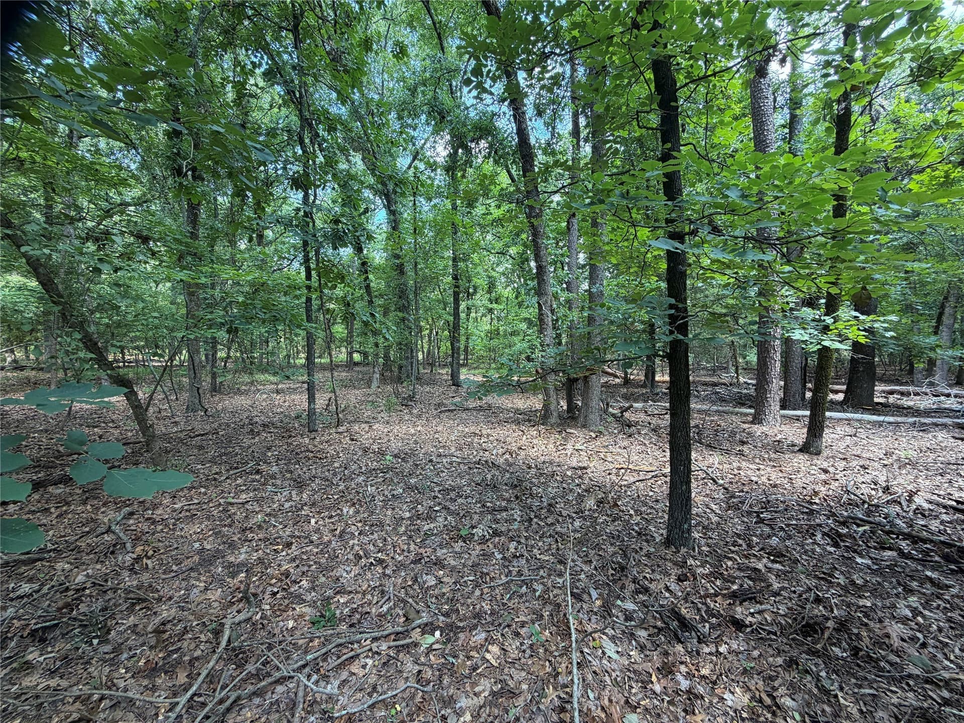 0.43 acres in Franklin (TX) County - photo 6