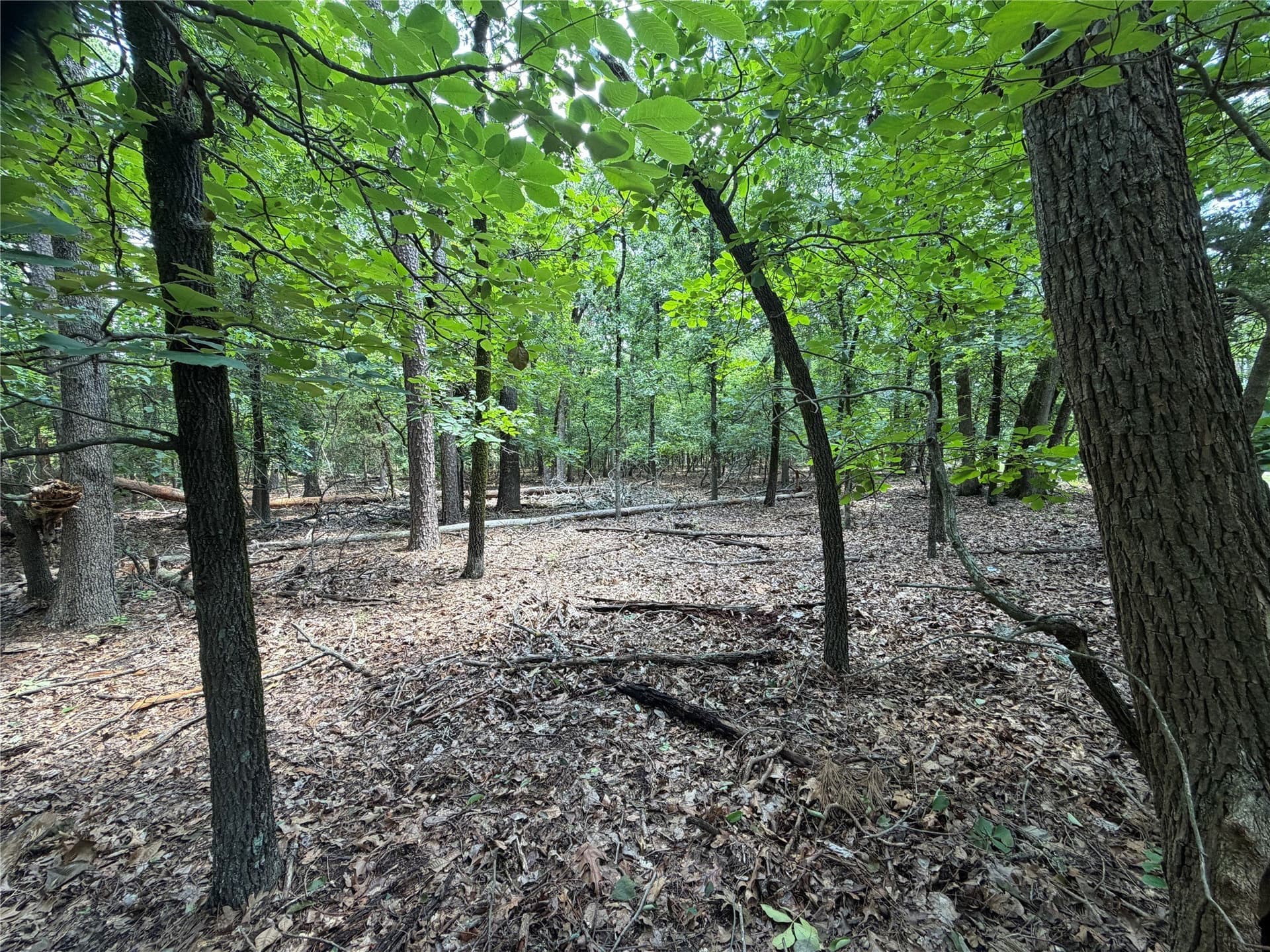 0.43 acres in Franklin (TX) County - photo 7