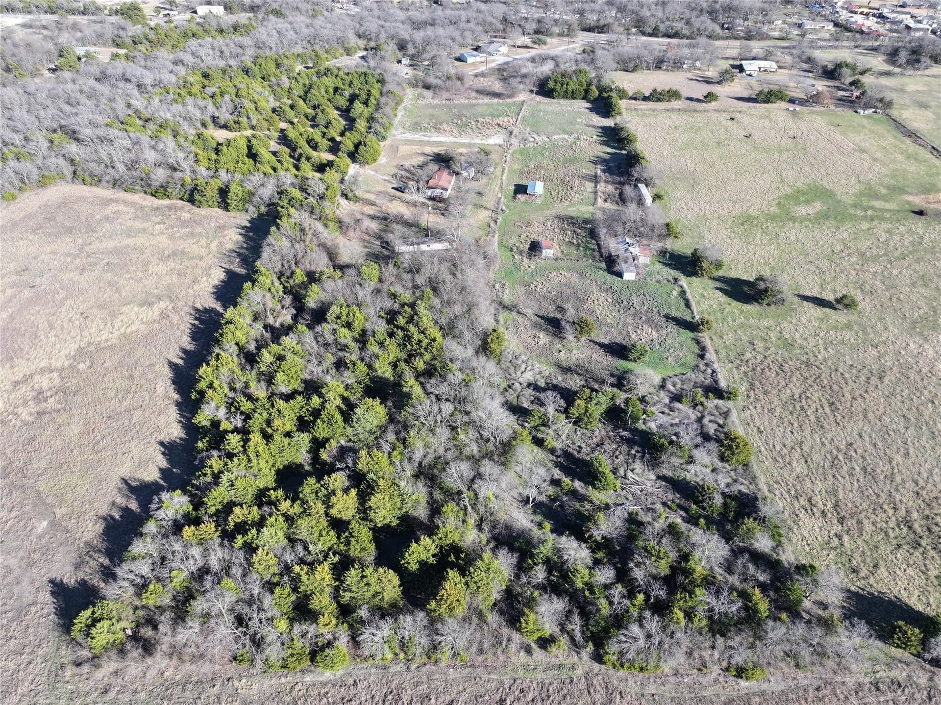 12.51 acres in Collin County - photo 22