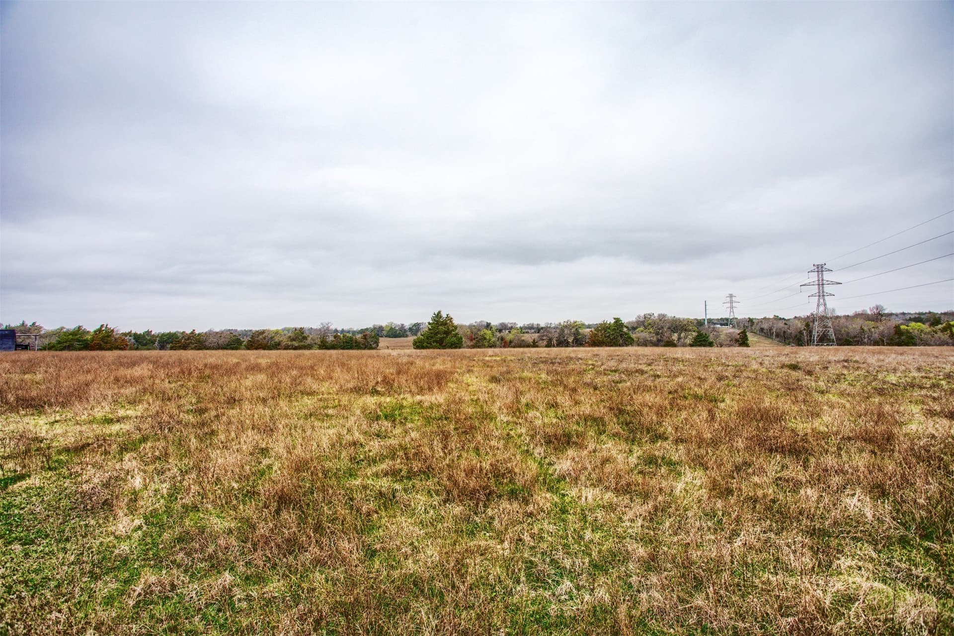 86.25 acres in Dallas County - photo 2