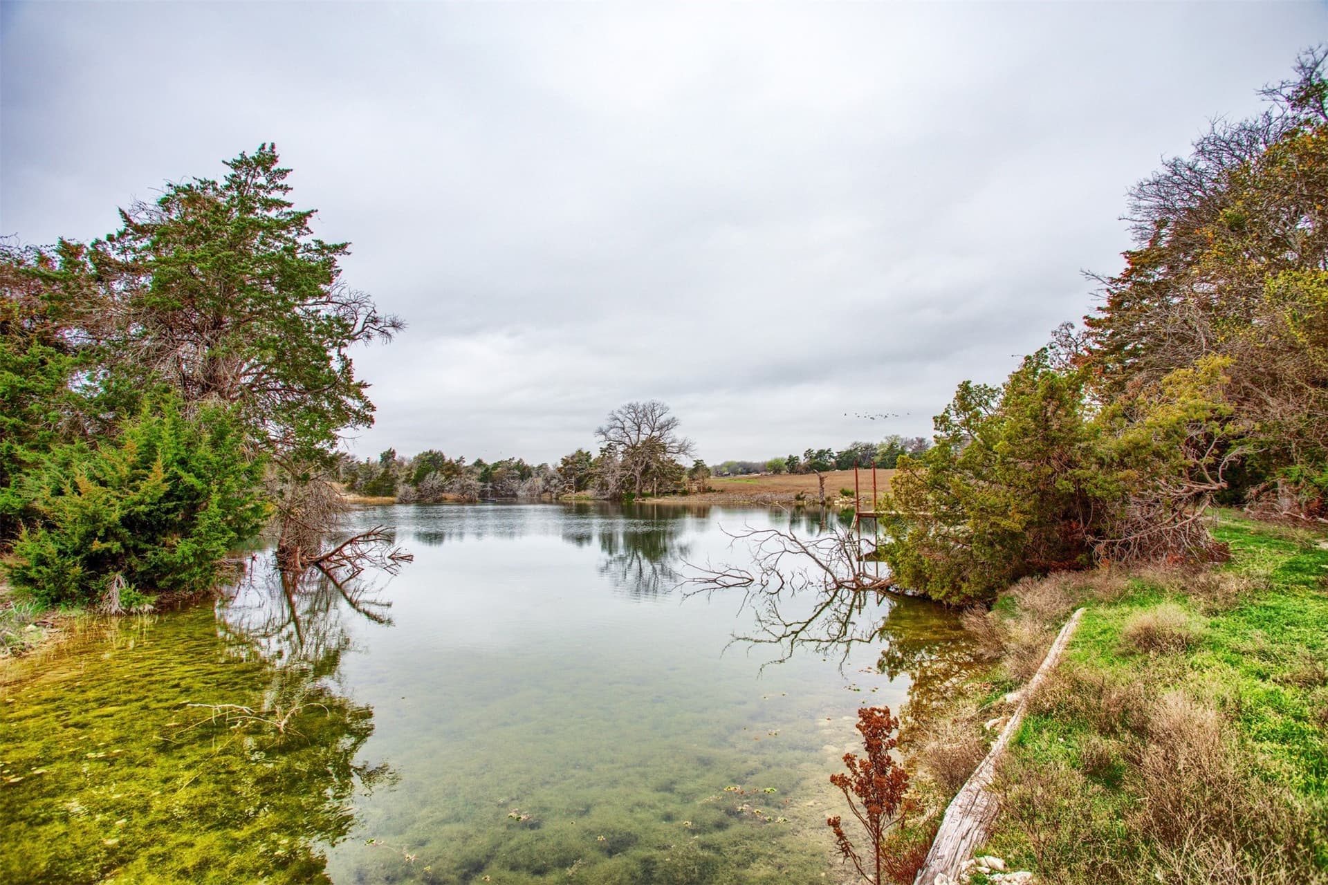 86.25 acres in Dallas County - photo 3
