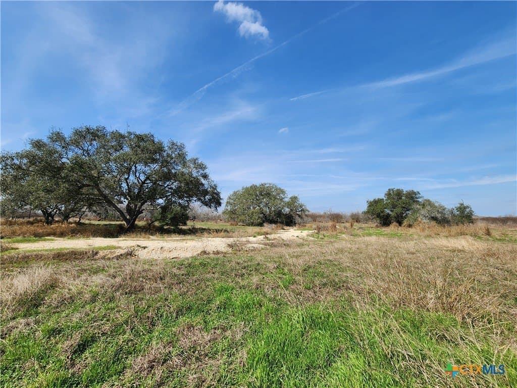 15 acres in Goliad County gallery image 2