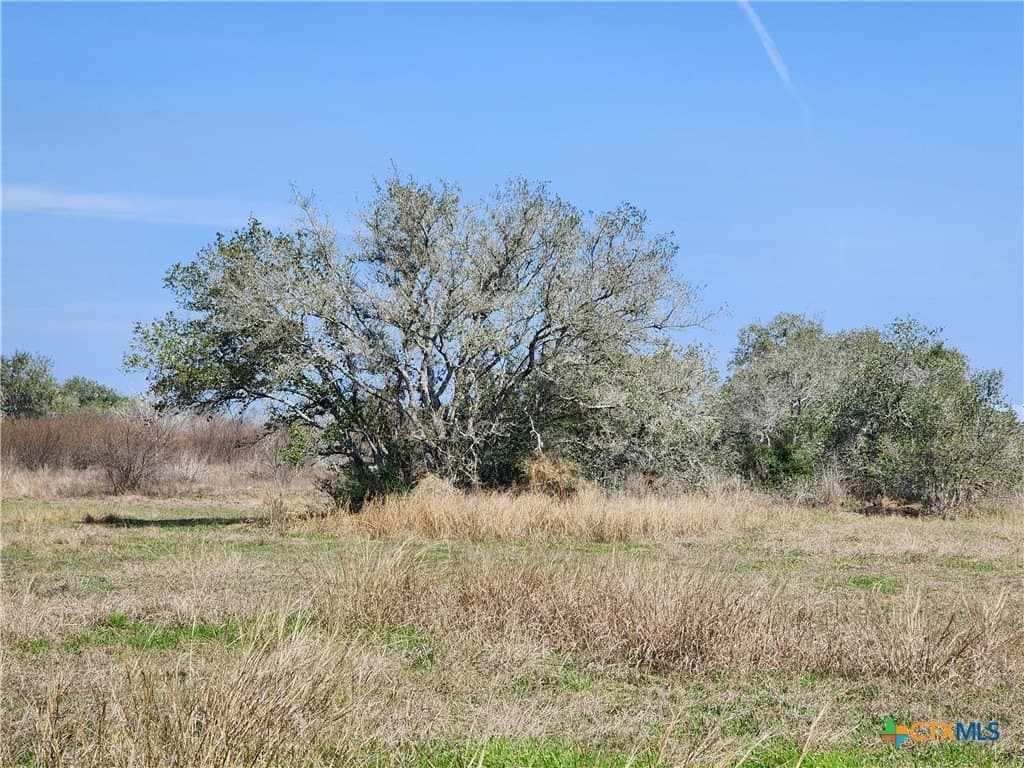 15 acres in Goliad County gallery image 3