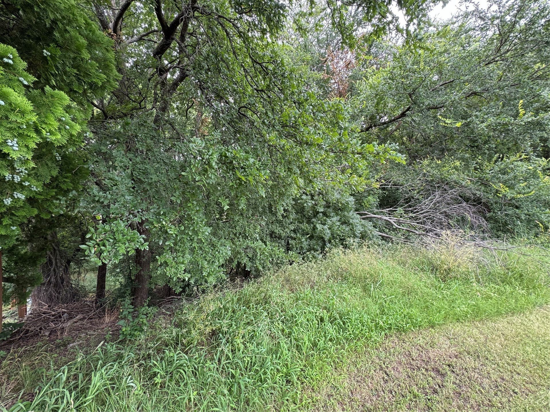 0.41 acres in Grayson County - photo 4